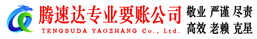 高安讨债公司